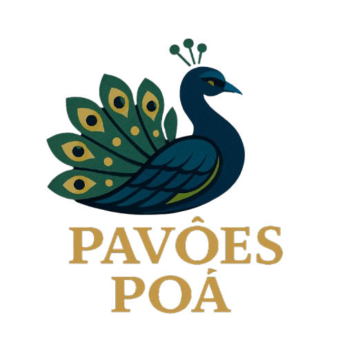 Festava Live Night 2023